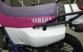 YAMAHA TT250R RAID 2009 4GY
