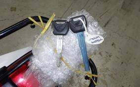 HONDA VTRF250 2006 MC33