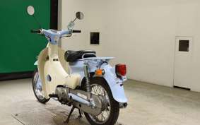 HONDA LITTLE CUB 2025 AA01