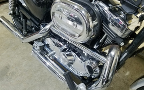 HARLEY XL1200C 100TH 2003 CGP