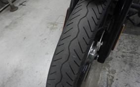 HARLEY FXBB1750 2019