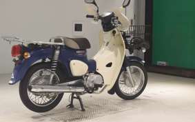 HONDA C110 SUPER CUB