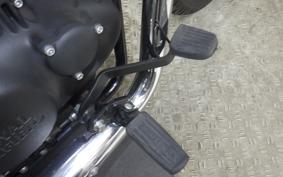 OTHER ENFIELD メテオ350 2022