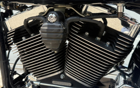 HARLEY FXCWC 2008 JK5