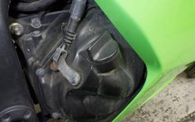 KAWASAKI NINJA 250R 2023 EX250K