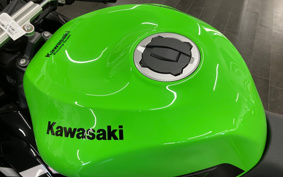 KAWASAKI NINJA ZX-6R 2020 ZX636G