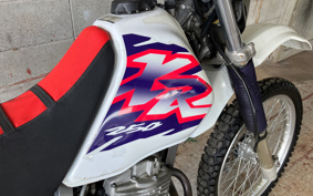 HONDA XR250 MD30
