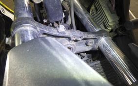 SUZUKI Vｽﾄﾛｰﾑ250 2025