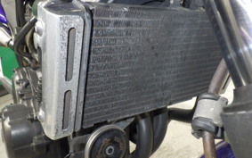 HONDA HORNET 250 MC31