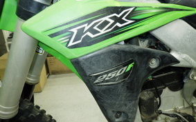 KAWASAKI KX250 F