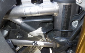 APRILIA CAPONORD 1200 2015