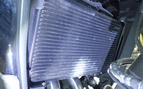 HONDA NX400 2025 NC65