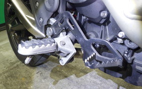TRIUMPH TIGER 900 GT PRO 2024