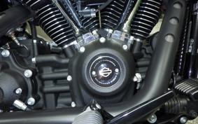 HARLEY FXBBS1870 2021
