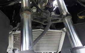 HONDA CBR250R GEN 3 MC41