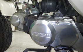 HONDA GORILLA 2024 AB27