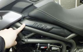 TRIUMPH TIGER 800 XC X 2017