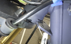 OTHER +GPX LEGEND250ﾌﾞﾗｲﾄﾝ 2025