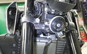 YAMAHA MT-25 A 2021 RG74J