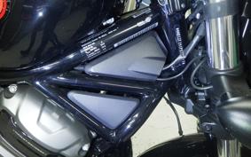 HARLEY RH975S 2024