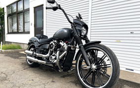 HARLEY FXBRS 2022 YHK