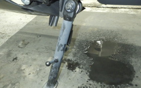 HONDA CBR650R 2024 RH03