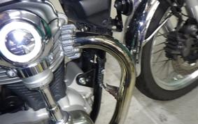 KAWASAKI W800 2024 EJ800E