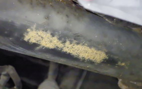 HONDA DIO Gen.6 AF62