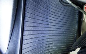 TRIUMPH SPEED TRIPLE RS 2020