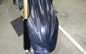 YAMAHA WR250R 2024 DG15J