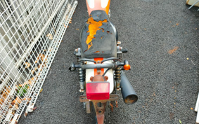 SUZUKI GLASS TRACKER BIG BOY NJ47A