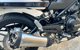 HARLEY  HARLEY X500 2024 W5B