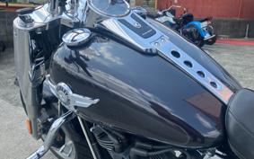 HARLEY FLFBS 2021 YGK