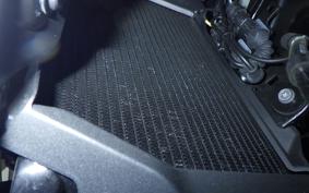 BMW R1300RS ASA 2025