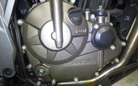 SUZUKI Vｽﾄﾛｰﾑ250SX 2007 EL11L