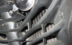 SUZUKI ｼﾞｸｻｰ250SF 2025 ED22Y