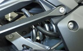 KAWASAKI NINJA 1000SX 2024 ZXT02K