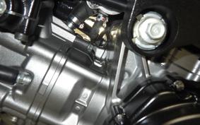 SUZUKI Vｽﾄﾛｰﾑ1000A 2019