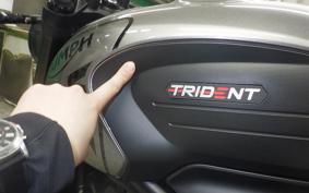 TRIUMPH TRIDENT 660 2024