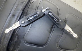 BENELLI レオンチーノ250