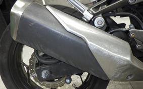 KAWASAKI Z250 2022 ER250C