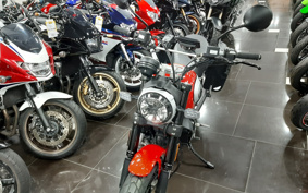 DUCATI SCRAMBLER ICON 2021 K102