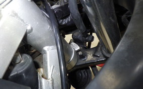 YAMAHA FZ250 1HX