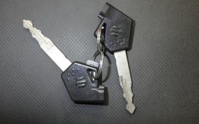 SUZUKI ADDRESS 110 2019 CE47A