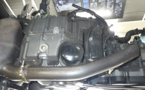 DUCATI MONSTER 937 + 2022