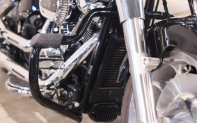 HARLEY FLFBS 2022 YGK
