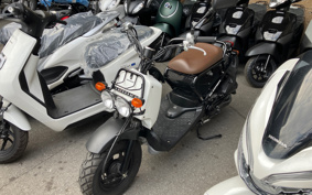 HONDA ZUMAR AF58