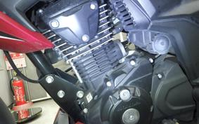 HONDA HORNET 2.0