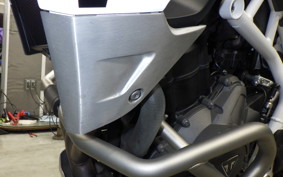 TRIUMPH TIGER 900 RALLY PRO 2022