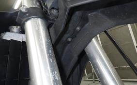 KAWASAKI KLX250D TRACKER X LX250V